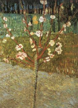 Vincent Van Gogh : Flowering Almond Tree